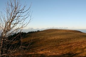 panorama of autumn hill in the countryside