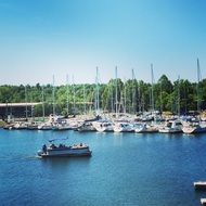 unusually beautiful pontoon boat