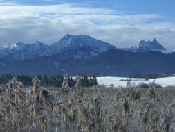 winter landscape of Allgau