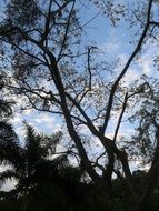 nature clouds