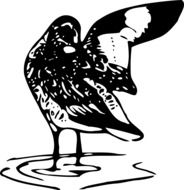 Black and white drawing of a bird in the water