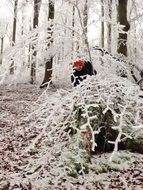 Child in the winter forest