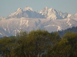 mountain behind the forest in poland
