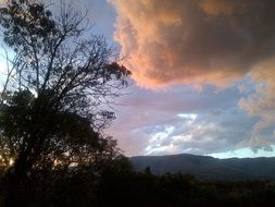 pink fluffy clouds at sunset sky