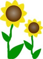 graphic image of two sunflowers