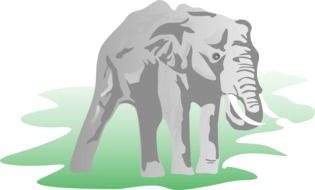 Ä°llustration of the elephant