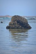 rock among the water