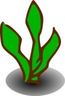 symbol of green shrub