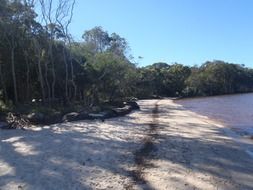 The picturesque shore near the lake