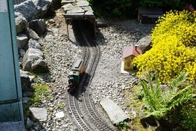 transport on rails on a miniature railway