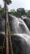 Landscape of the waterfall in park
