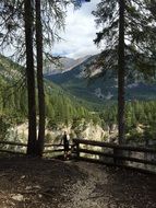 Forest against the background of the dolomite mountains, italy