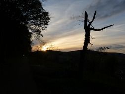 dark silhouettes of nature at dusk at sunset