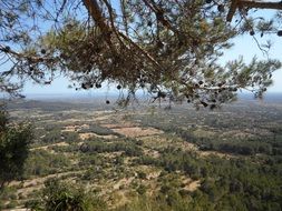 panoramic view of summer landscape in Mallorca