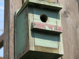 small aviary bird