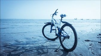 unusually beautiful cycling beach