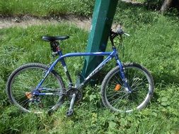 forest bike