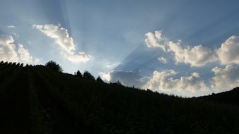 Landscape of summer sky