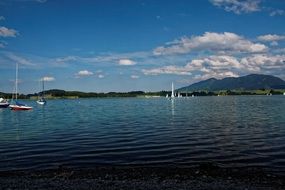 sailboats on the lake on a sunny day