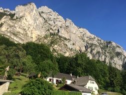 green vegetation at the foot of the mountains