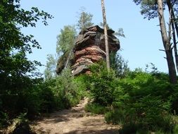 pfÃ¤lzerwald rock