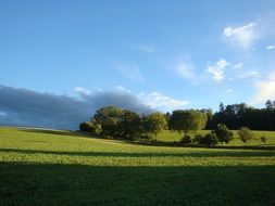 shadow on the field with green grass