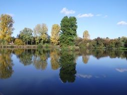 gorgeous trees on the lake