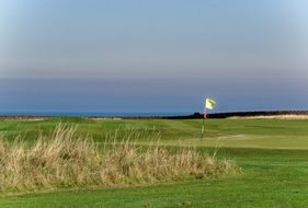 Yellow flag on golf course