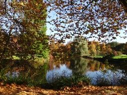 autumn nature around the lake