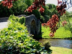 bridge over a river in a park in scotland