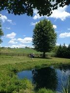 field near lake agriculture landscape