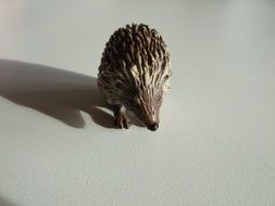 Hedgehog on a white background