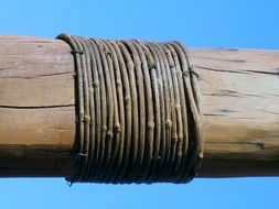 rope is twisted on the trunk close-up