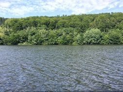 Lake in summer in the forest