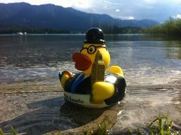 duck figure on a river