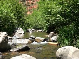 river among the stones on a sunny day