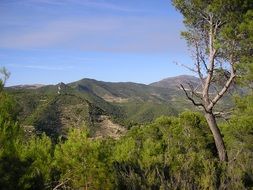 mountains behind green bushes and trees