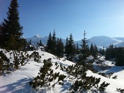 panoramic view of the tatras in winter on a sunny day