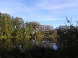 Mirrored trees on a lake
