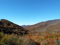 autumn forest in the mountains on a sunny day