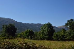 green forest in the vicinity of Madrid