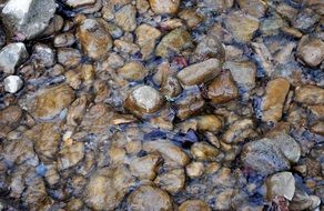 shiny stones under water