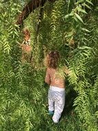 little child near a green tree