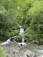 waterfall in green forest, austria, styria