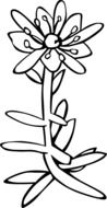 black and white drawing of a flower with leaves