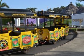 colorful park trains on the road