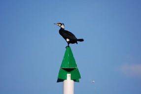 Bird on the steeple against the blue sky