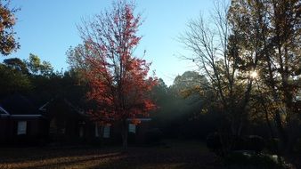 house in a colorful autumn forest