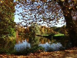 amazing autumn nature