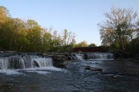 water woods nature